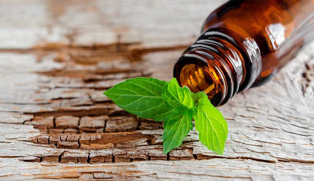 5 Holiday Uses for Peppermint Essential Oil