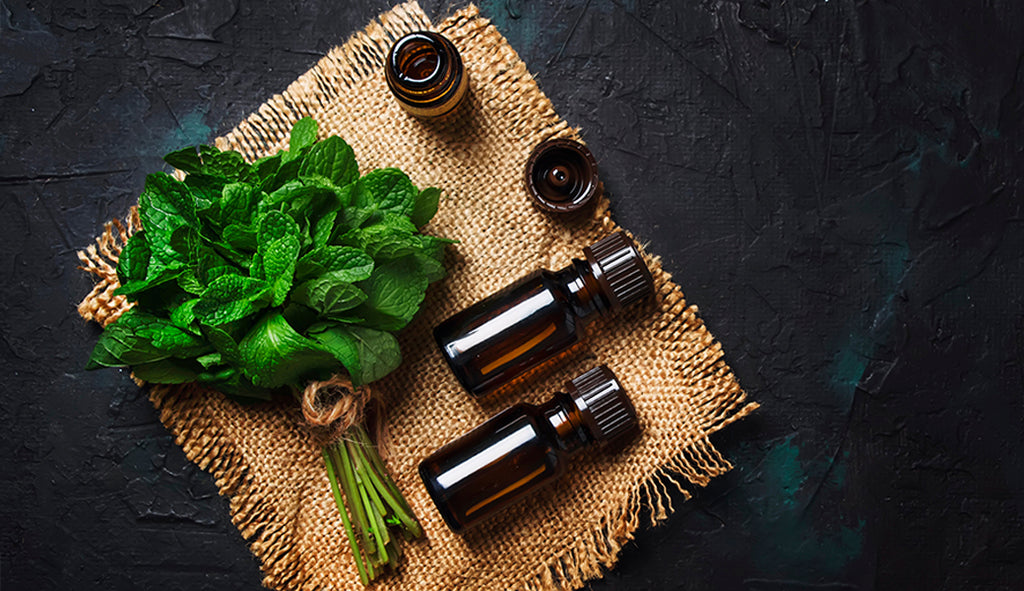 5 Notable Peppermint Essential Oil Benefits
