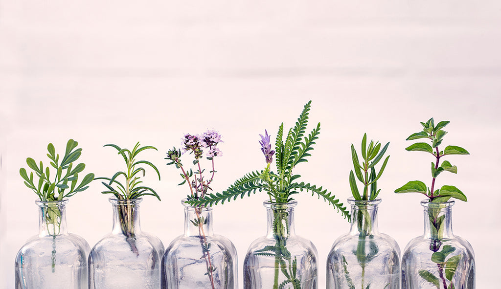 Why Essential Oils Should Be Your Rescue Remedies (2022 Guide)